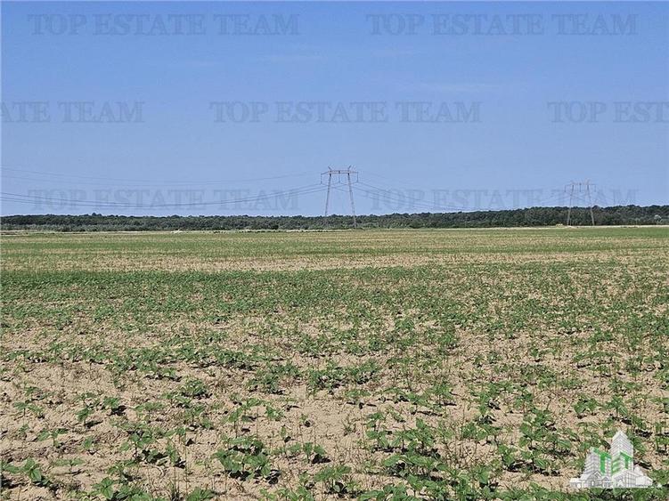Teren Construcții extravilan de 295413 mp, în Florești-Stoenești