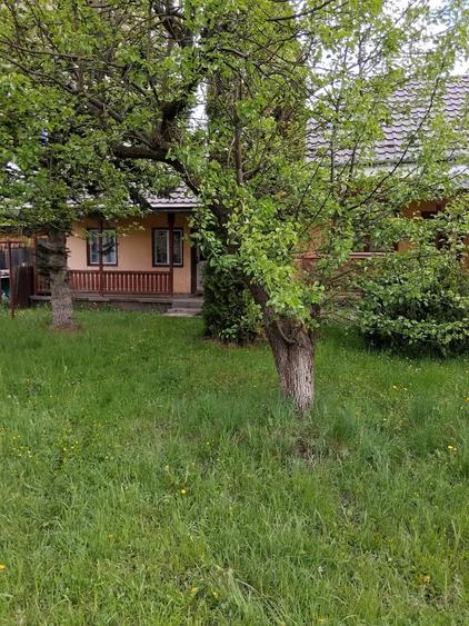 Casa de vanzare - municipiul Toplita, Judet Harghita - 8