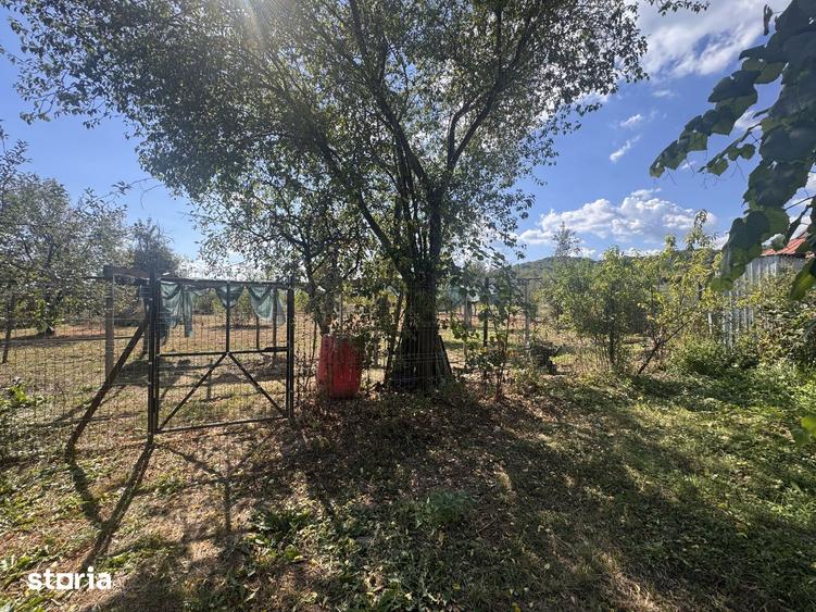 Casă cu 3 camere cu Teren 2000 Mp în Stâlpeni