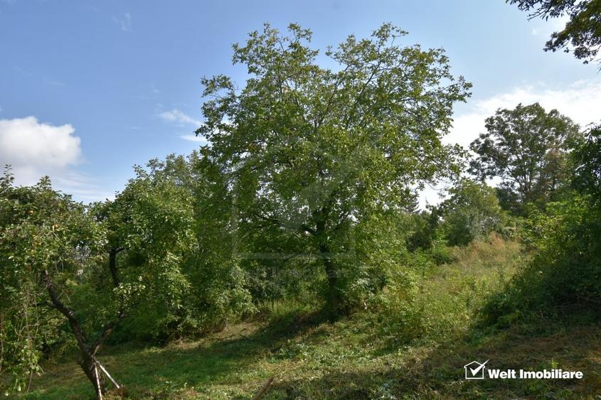 Casă individuală cu 2 camere cu Teren 1547 Mp în Gheorghieni