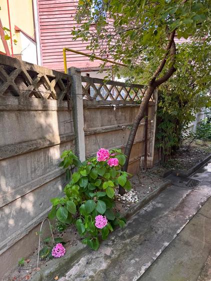 Casă cu 4 camere cu Teren 180 Mp în Moșilor