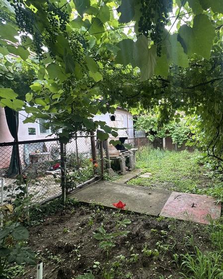 Casă individuală cu 4 camere cu Teren 394 Mp în Trei Stejari