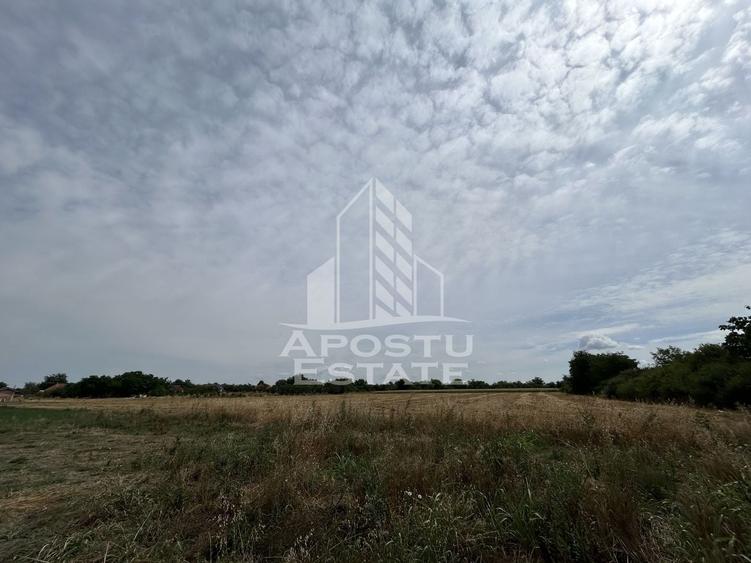 Teren Construcții intravilan de 2248 mp, în Parța