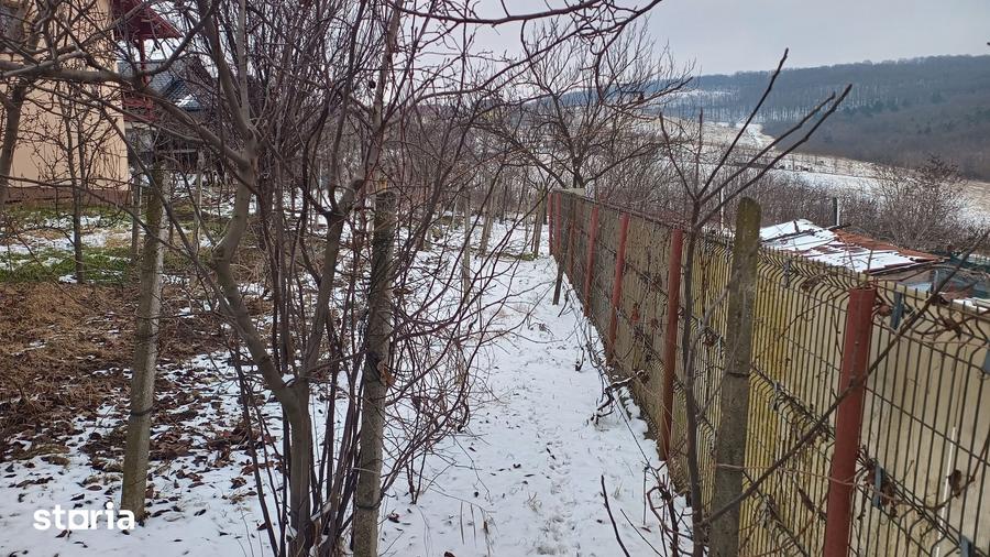 Teren de 704 mp, în Rediu
