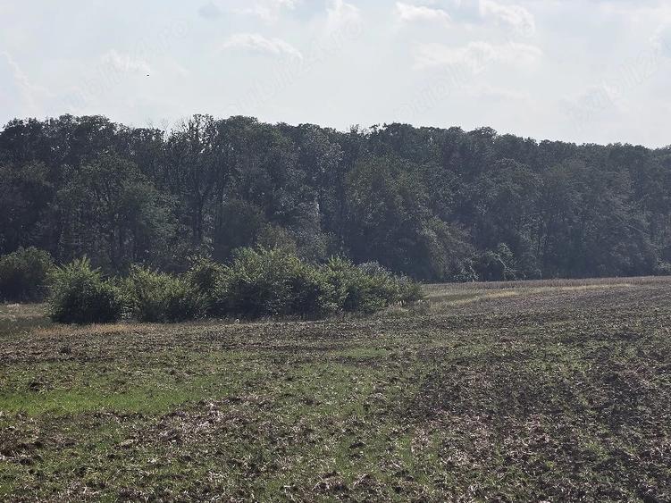 Teren de 6100 mp, în Lipia