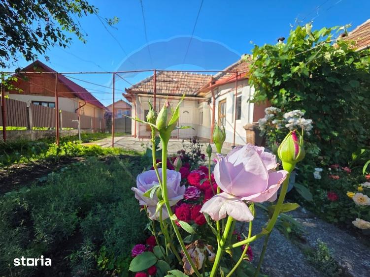 Casa ingrijita cu curte frumoasa | Tarnaveni Bozias - 11