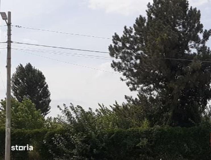 Teren de 16000 mp, în Progresul