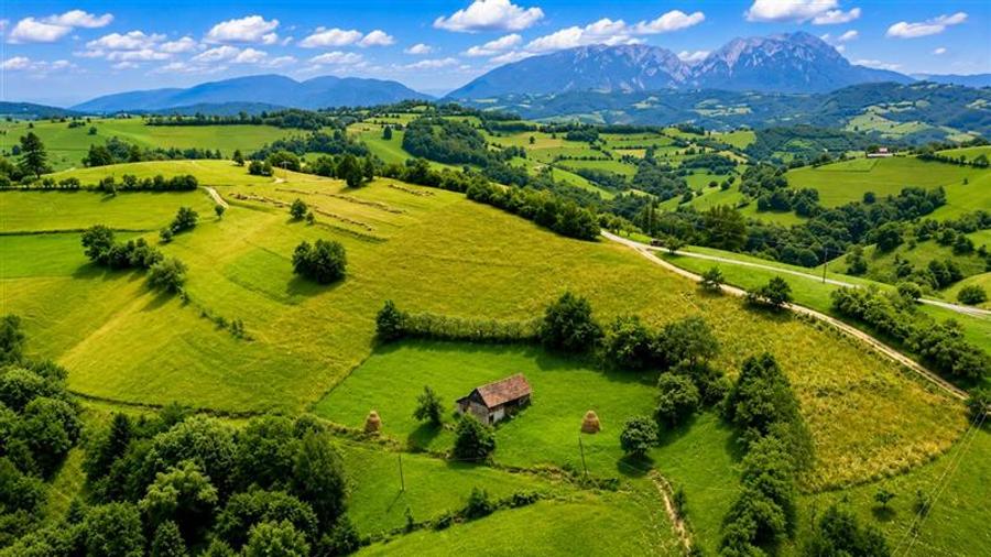 Teren Construcții intravilan de 10335 mp, în Poiana Mărului