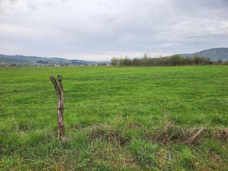 Teren Construcții intravilan de 13377 mp, în Est