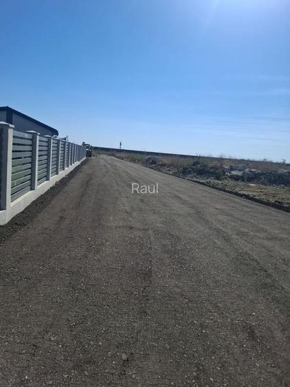 Lot teren Greenfield Crang Vanatori