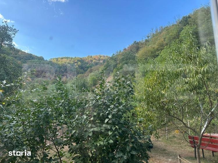 Casă cu 3 camere cu Teren 10900 Mp în Băița