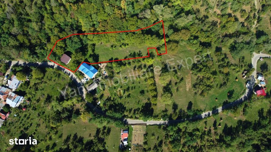 Casă cu 3 camere cu Teren 4391 Mp în Valea Danului