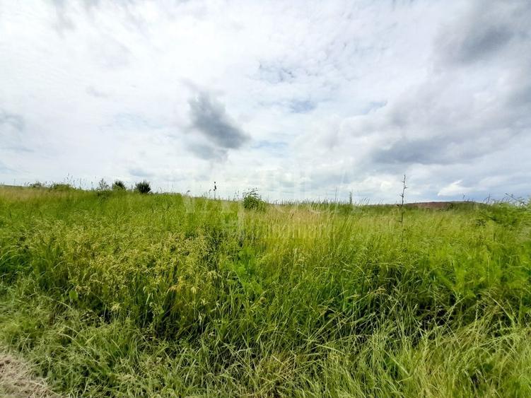 Teren Construcții intravilan de 21354 mp, în Cheriu