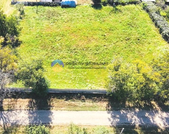 Teren intravilan de 3260 mp, în Chintinici