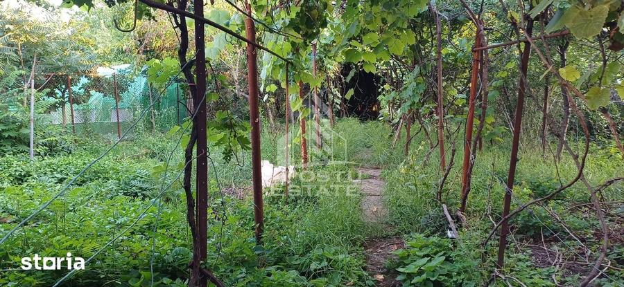 Casă cu 3 camere cu Teren 497 Mp în Freidorf