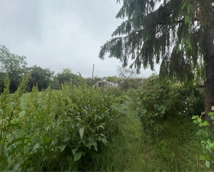 Casă cu 3 camere cu Teren 2000 Mp în Produlești