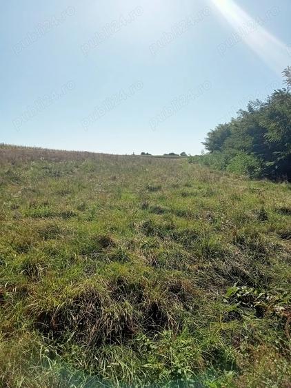 Teren de 1800 mp, în Văculești