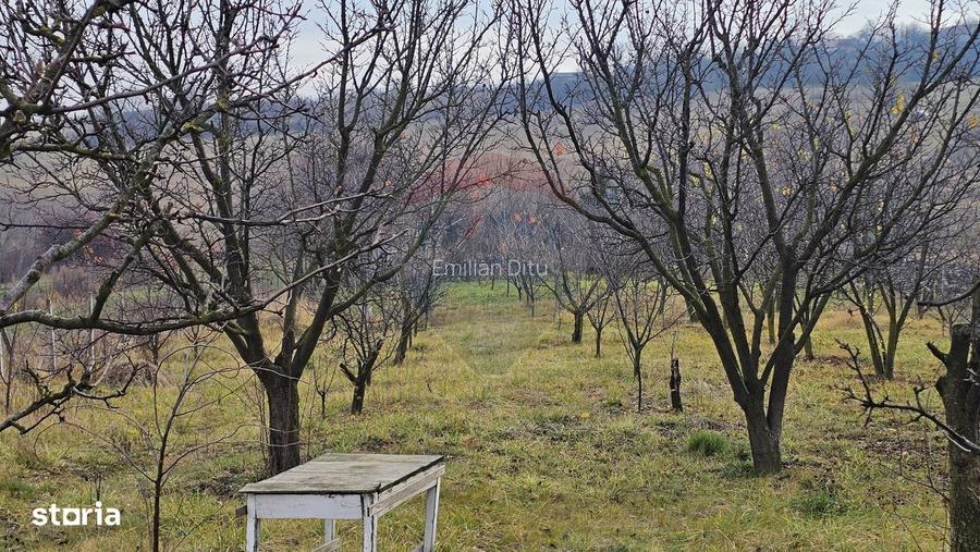 Teren extravilan 10,791mp Falticeni / Strada DJ209A, Opriseni