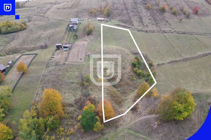 Teren Construcții extravilan de 1500 mp, în Nord