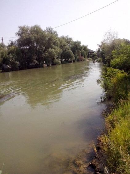 Teren Construcții intravilan de 5000 mp, în Uzlina