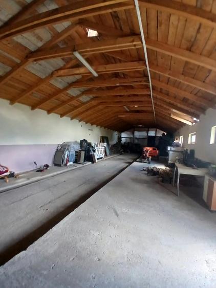Casă cu 2 camere cu Teren 3100 Mp în Broscăuți