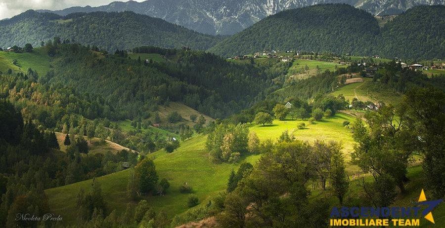 Resedinta pensiune, in areal privilegiat. cu 1.000 mp teren - 6