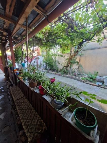 Casă individuală cu 4 camere cu Canalizare în Colentina