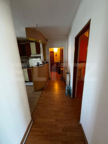 Apartament 3 camere Ludu? - 10