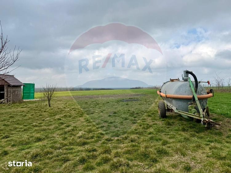 Teren de vanzare in Sacele ideal pentru silozuri, ferma 6 ha - 12