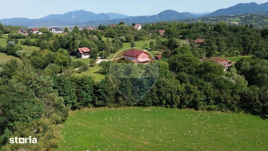 Teren 3,000mp Predelut / Strada Pe Tarina - 9