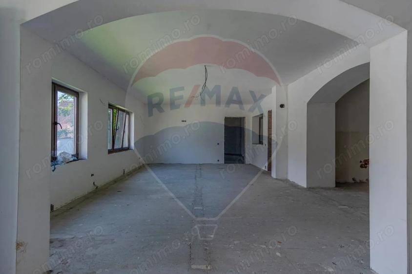 Casă cu Teren 2914 Mp în Bogata Olteană
