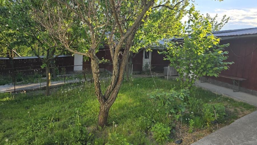 Casă individuală cu 5 camere cu Teren 3000 Mp în Suharău