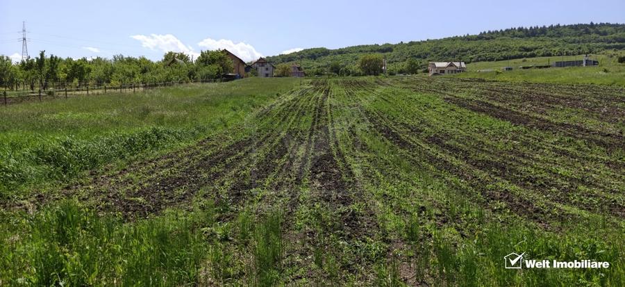 Teren Construcții intravilan de 2900 mp, în Vâlcele