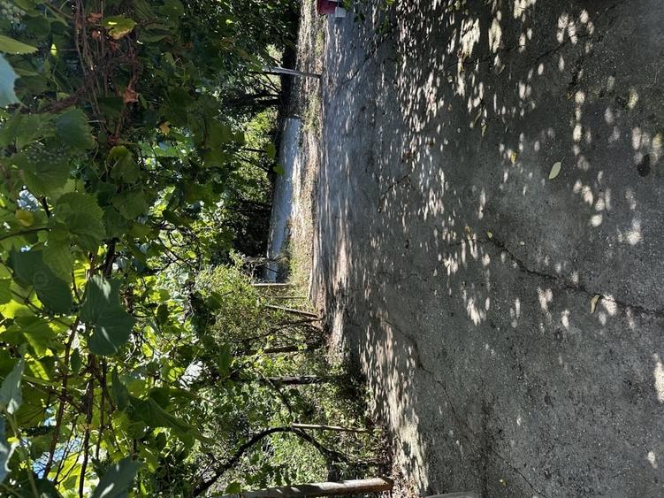 Casă cu 3 camere în Naipu