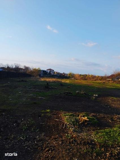 Super Ocazie Se Vinde Teren Cu Deschidere La Lacul Snagov - 6