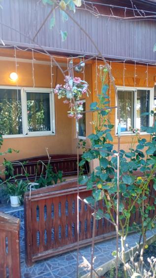 Casa si teren Roznov - 8