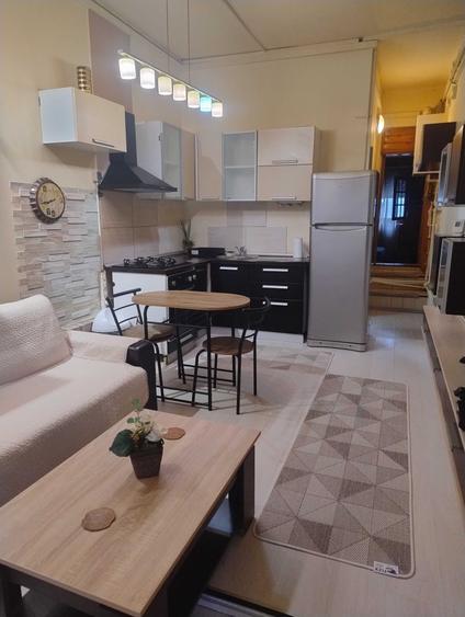 Apartament/ Studio de inchiriat - 12