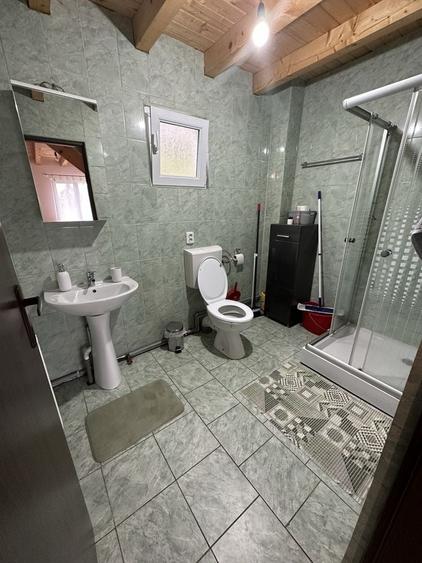 Casă cu 3 camere în Muntele Băișorii