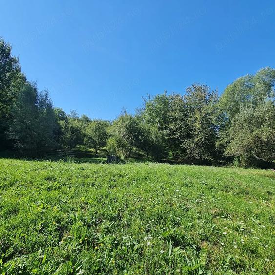 Teren de 7500 mp, în Prosia