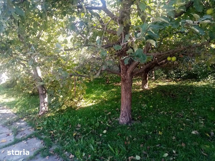 Casă cu 4 camere cu Teren 562 Mp în Pucioasa