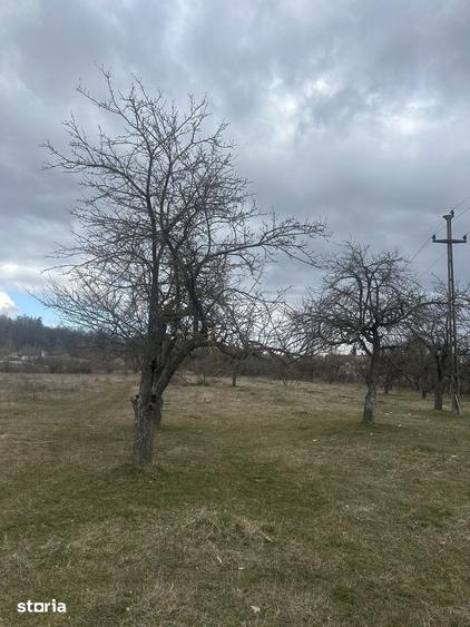Teren de 4400 mp, în Voila