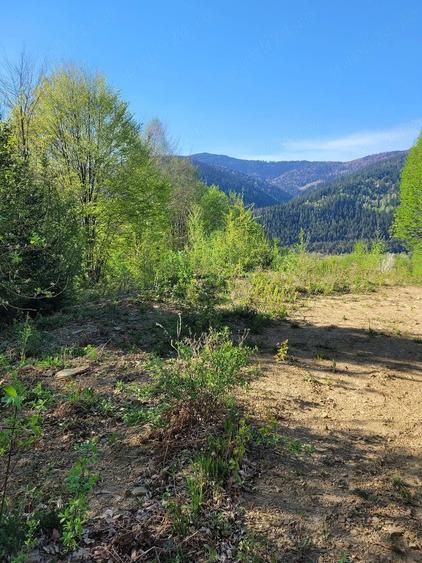 Teren de 5000 mp, în Ceahlău