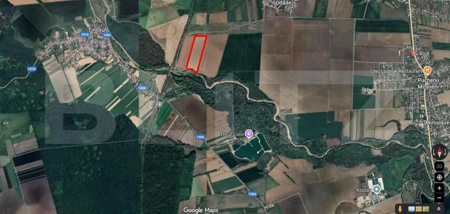 Teren agricol extravilan de 90000 mp, în Puchenii Mari