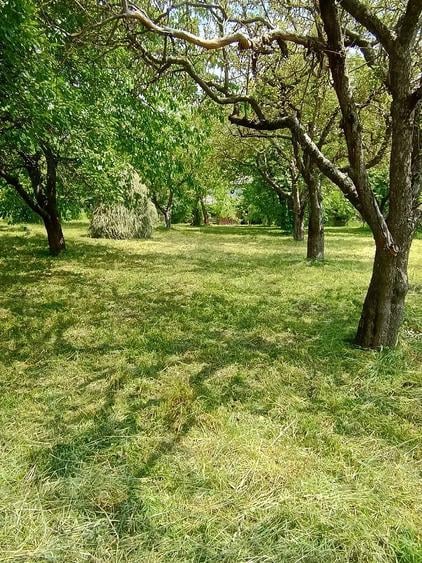 Teren de 1223 mp, în Central