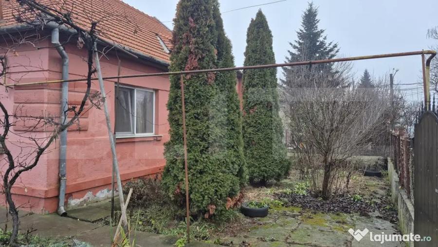 Casă cu 1 camere cu Teren 1306 Mp în Careiului