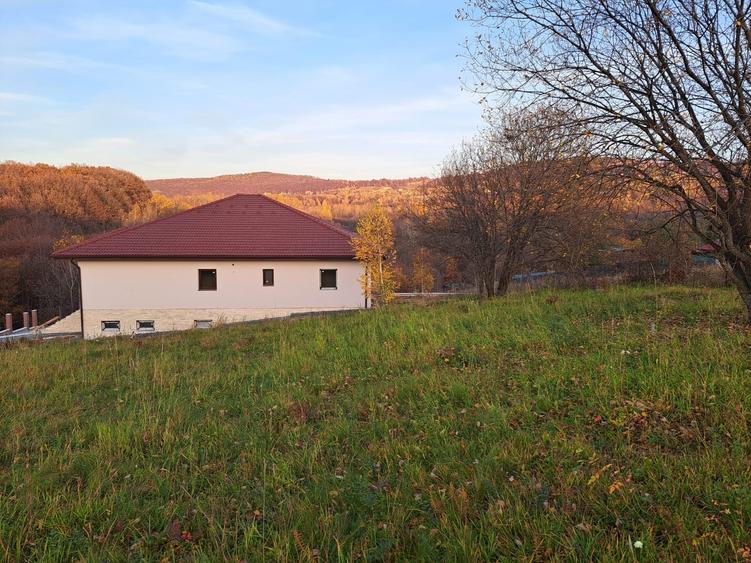 Teren Construcții intravilan de 1000 mp, în Făget