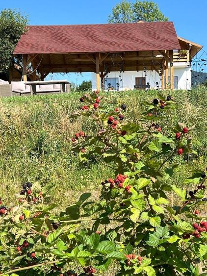 Casă cu 4 camere cu Teren 4000 Mp în Bran