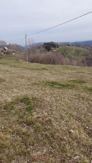 Teren de 2000 mp, în Dobra