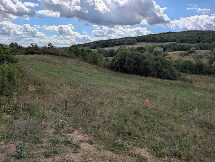Teren de 11200 mp, în Recea-Cristur