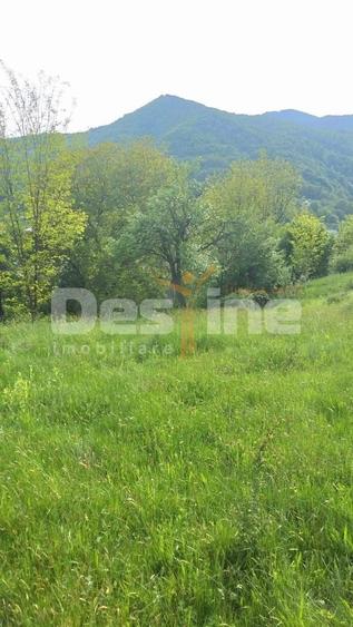 Teren Construcții intravilan de 3015 mp, în Mălăeștii de Sus